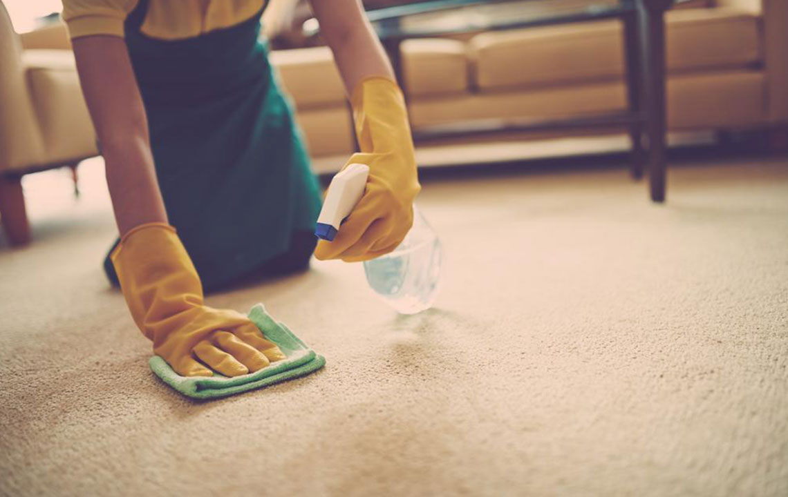 Comprehensive Home Methods for Effectively Removing Urine Stains and Odors