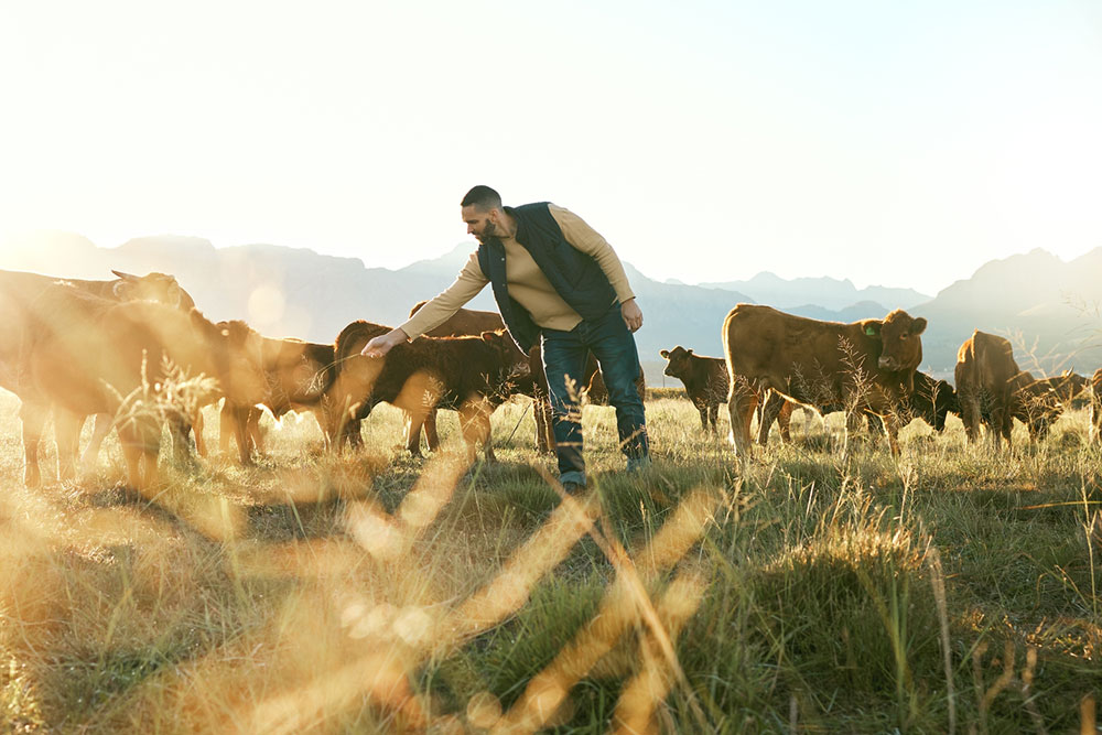 Top 5 Advantages of Implementing Agricultural Management Software