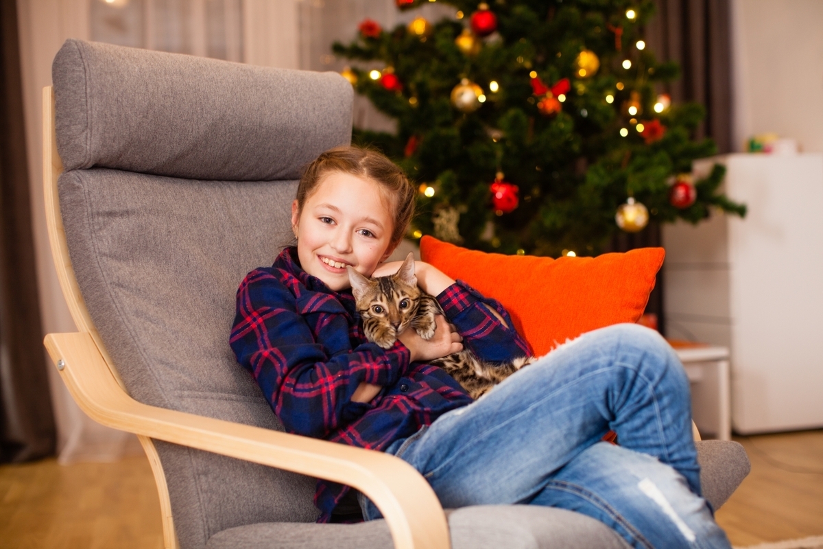Guide to Free Cat Adoption: Finding Your Perfect Feline Companion