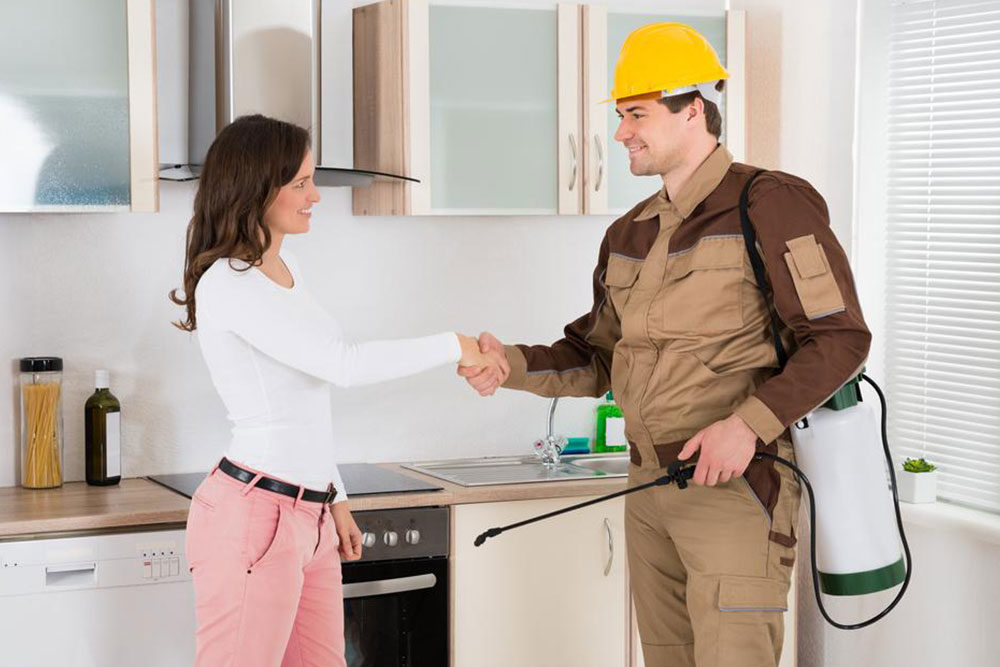 Top Pest Management Services