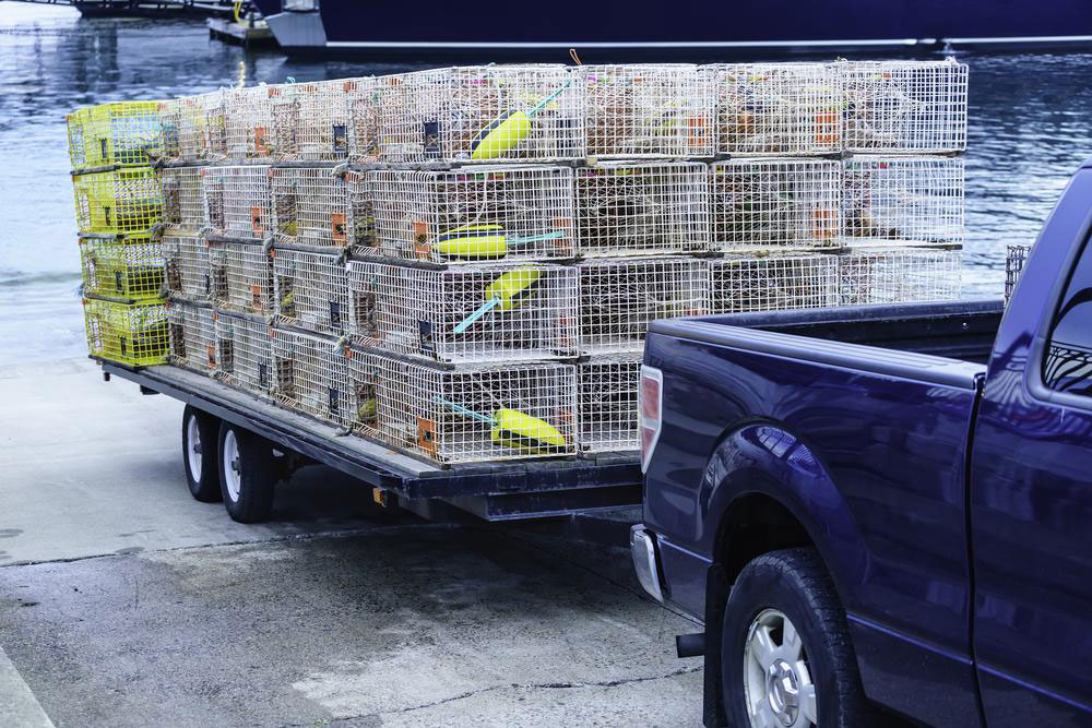 Choosing the Perfect Dump Trailer for Your Needs