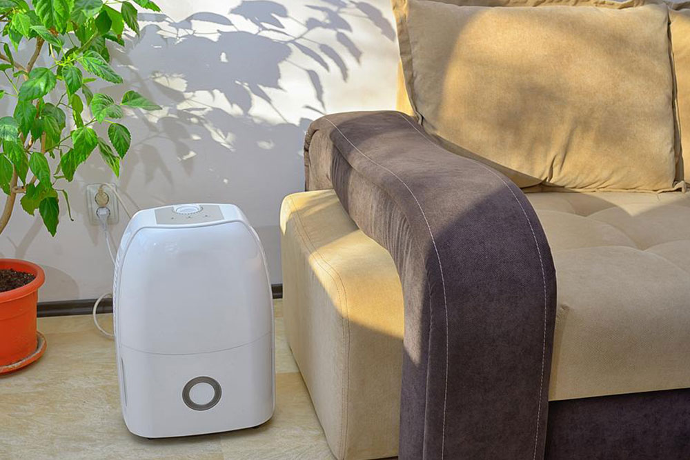 Comprehensive Guide to Choosing the Right Dehumidifier