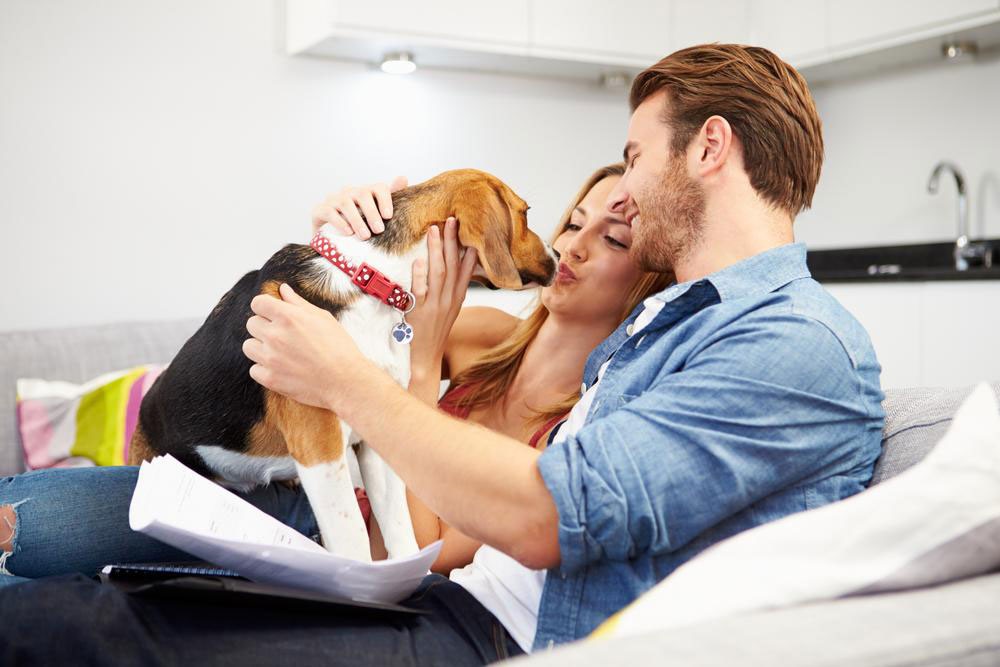 Essential Advantages of Purchasing Pet Insurance