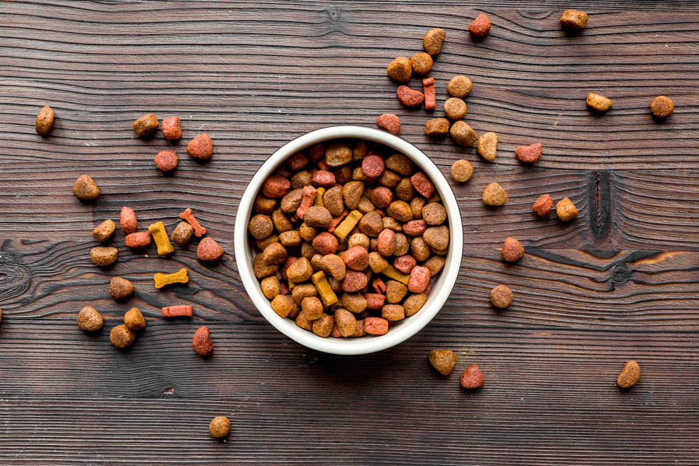 Essential Guidelines for Selecting Optimal Dog Food