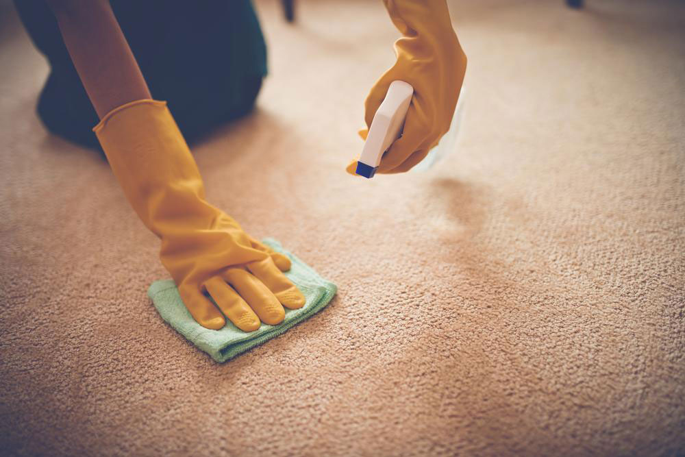 Essential Tips for Choosing the Perfect Designer Carpet for Your Home