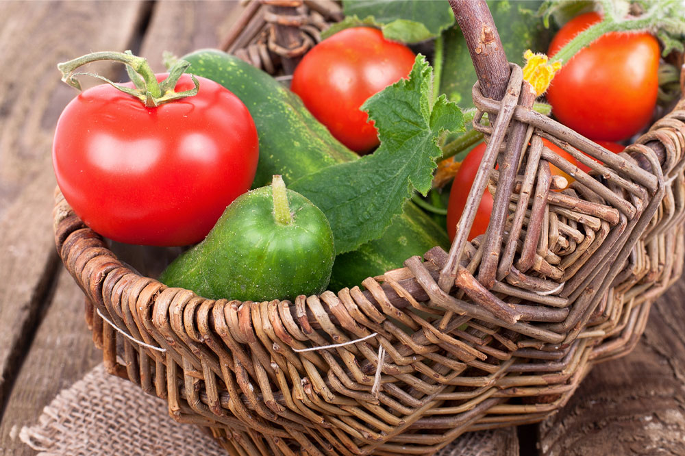 Top 6 Nutritional Choices for a Healthy Bladder