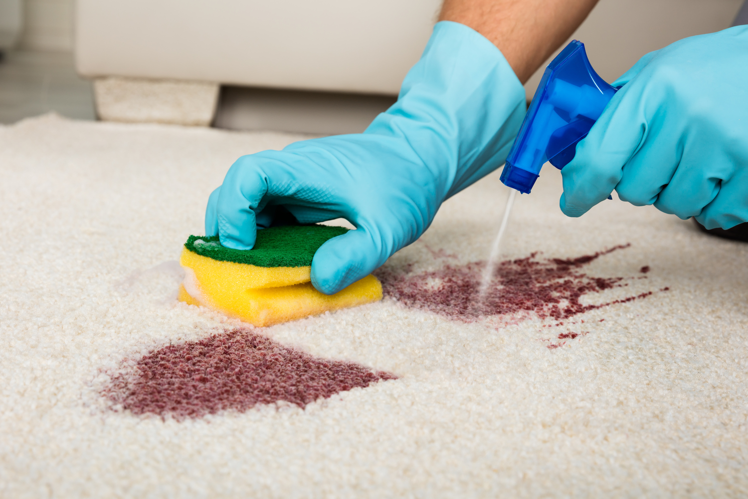Essential Guide to Choosing Effective Carpet Stain Removal Products