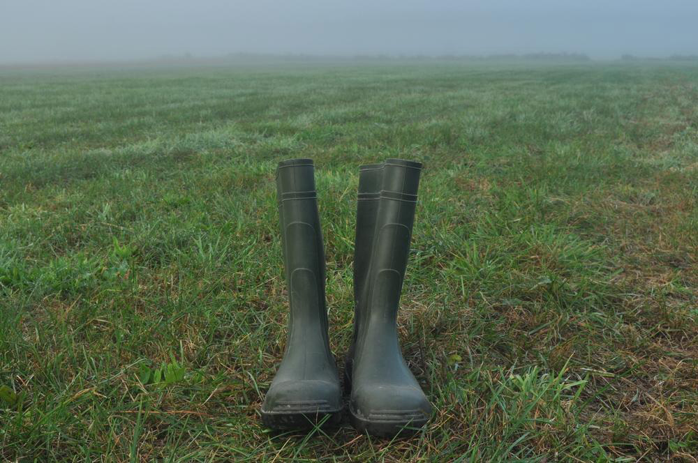 Top 4 Waterproof Boots for Cold and Wet Weather Conditions