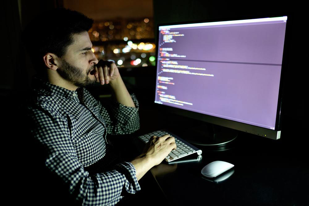 Top 4 Reasons Why Software Development is an Excellent Professional Path