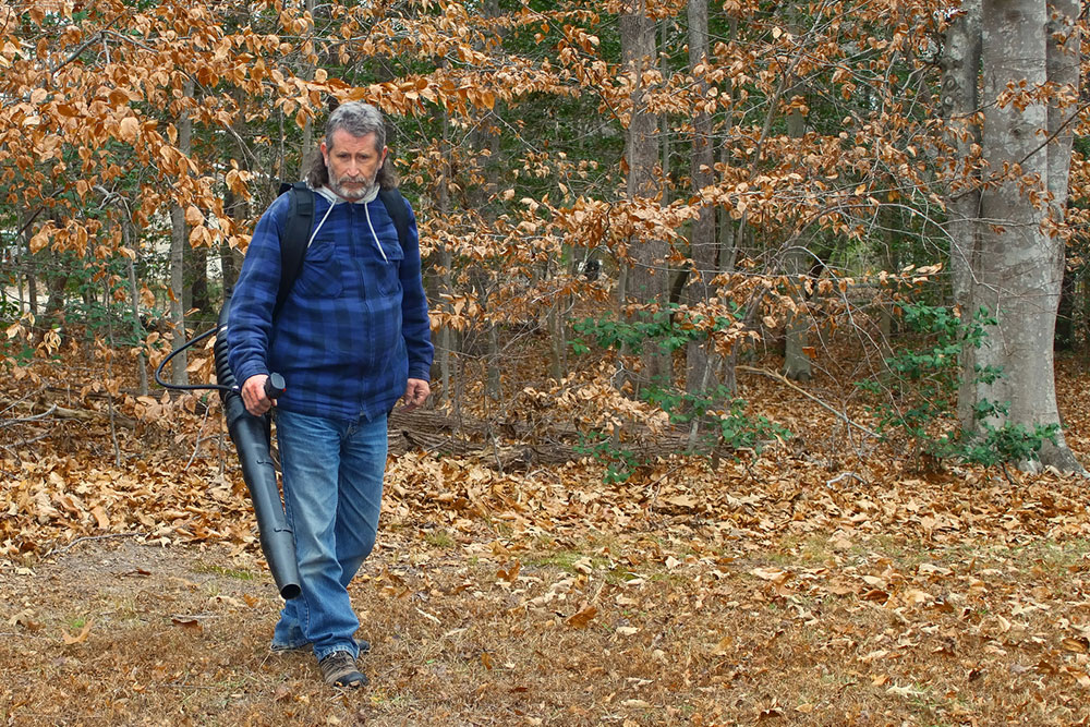 Affordable and Efficient Leaf Blowers to Simplify Your Yard Cleanup