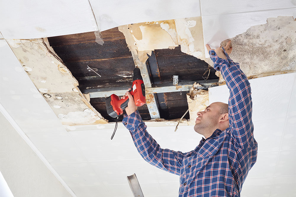 Why Hiring Expert Water Damage Restoration Services Is Essential