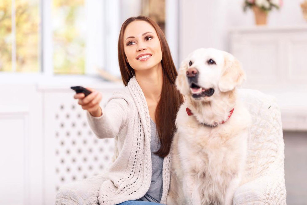 Effective Solutions to Eliminate Pet Odors from Your Home