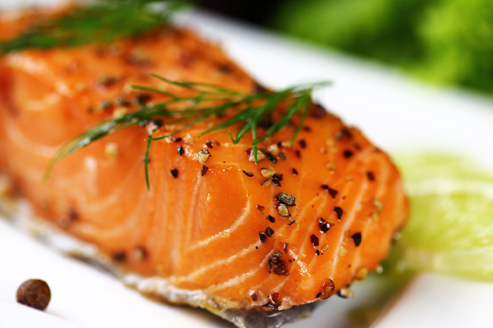 Safe Human Foods for Your Cat: What You Should Know