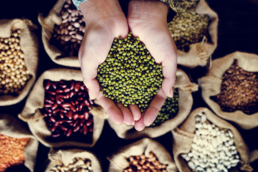Top Nutritional Strategies to Support Chronic Myeloid Leukemia Patients