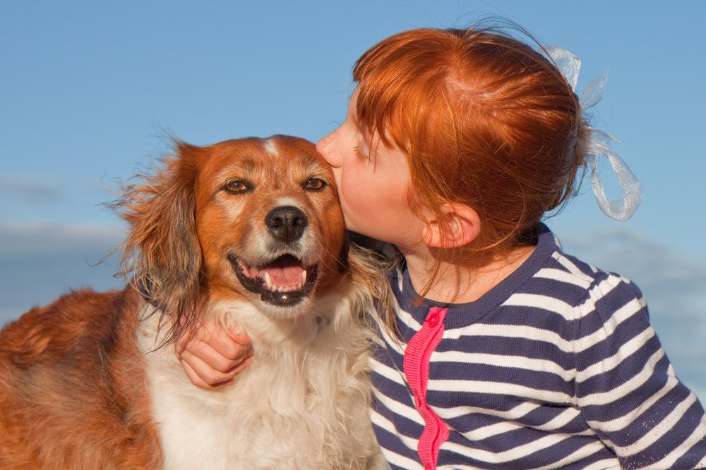 Natural Flea Control Methods