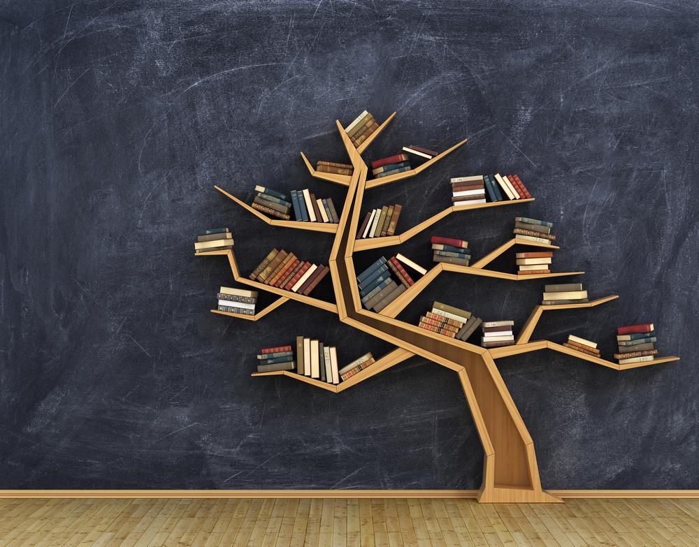 Creative DIY Tips to Organize and Beautify Your Bookshelves