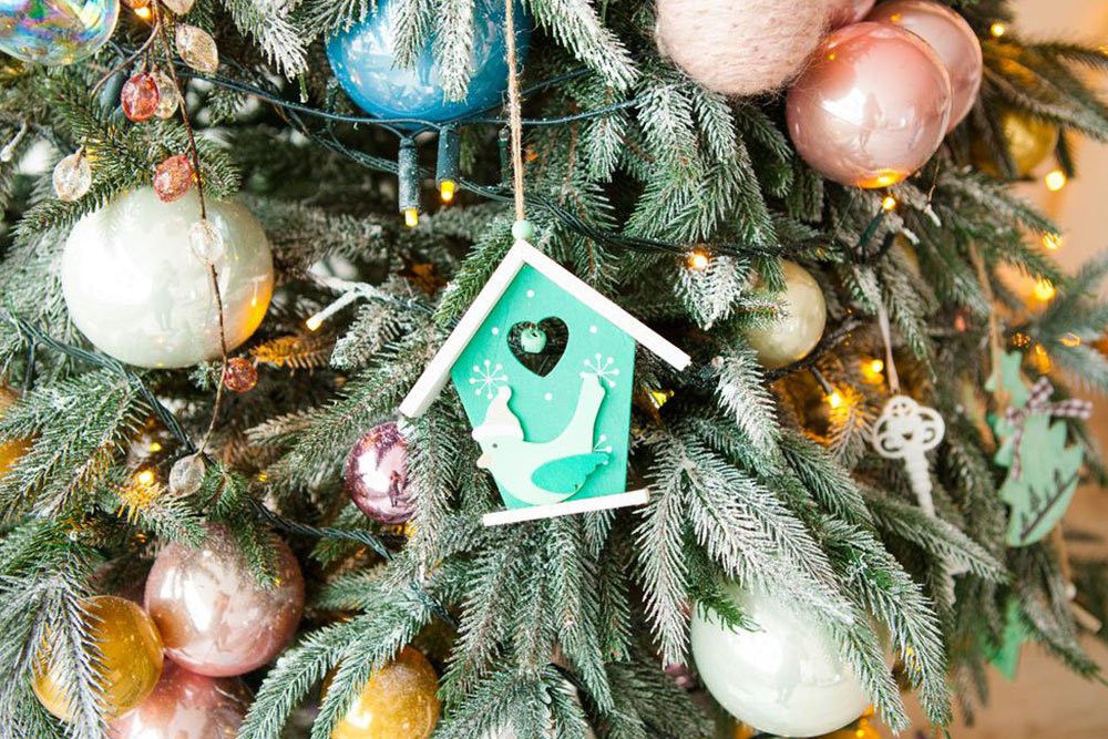 Essential Guide for Selecting the Perfect Christmas Tree