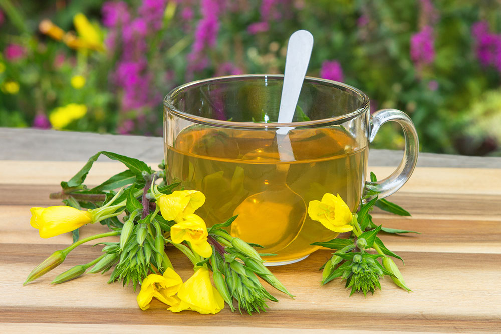 Effective Natural Strategies for Dissolving Kidney Stones and Promoting Urinary Health