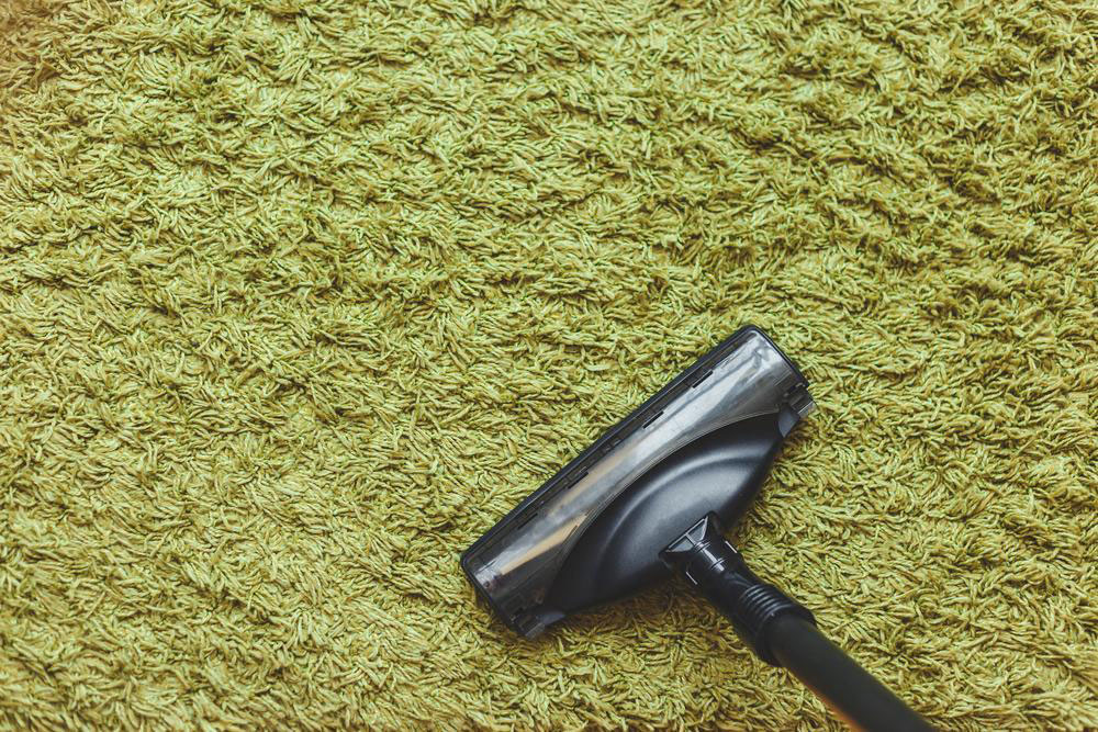 Maximize Savings with Black Friday Carpet Deals: A Smart Investment Opportunity
