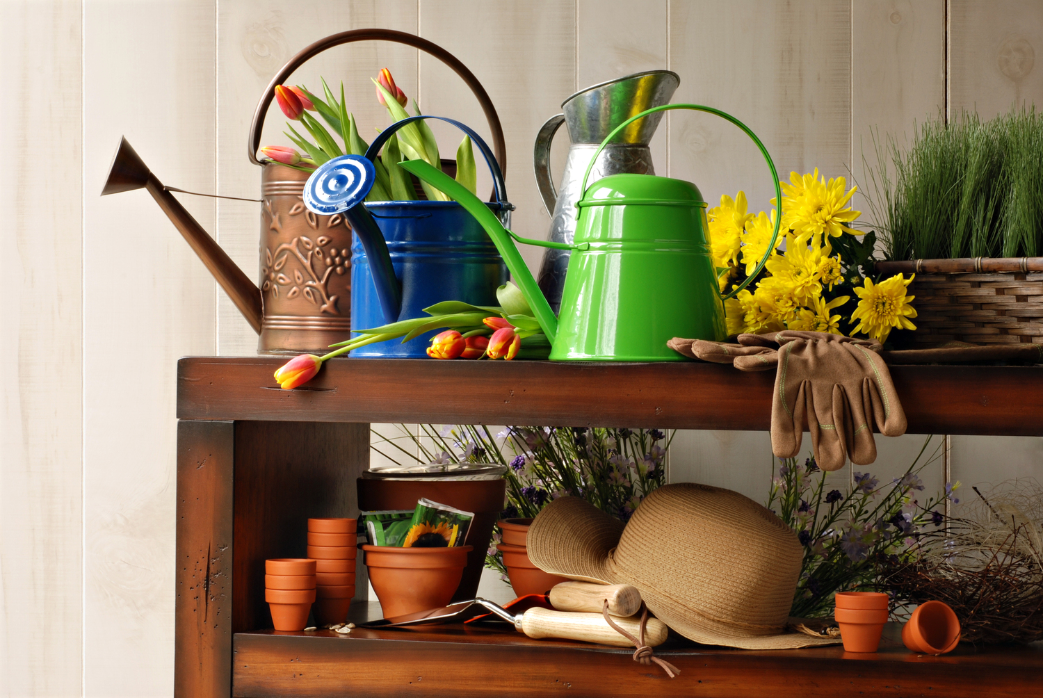 Essential Guide to Choosing the Perfect Gardening Supplies