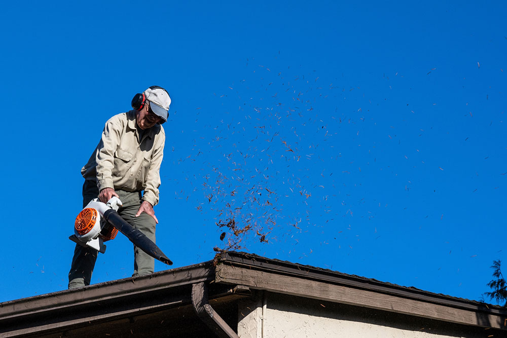Best 6 Leaf Blowers for Gutter Maintenance
