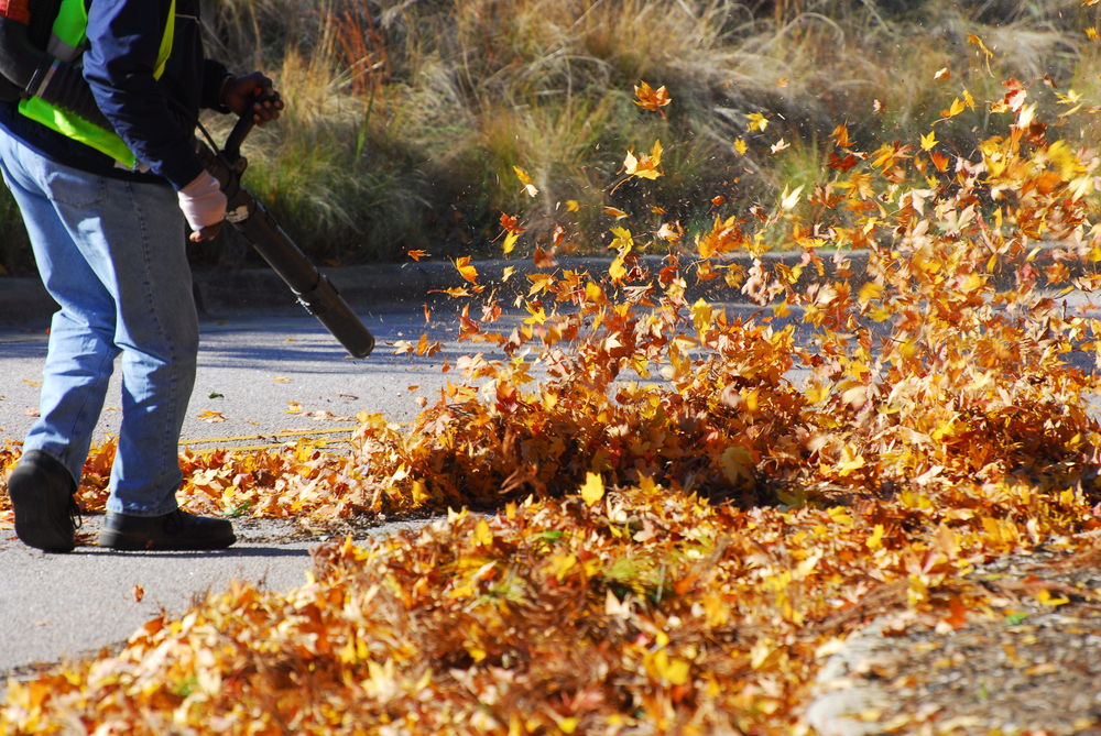 Top Picks for the Best Leaf Blowers in 2024