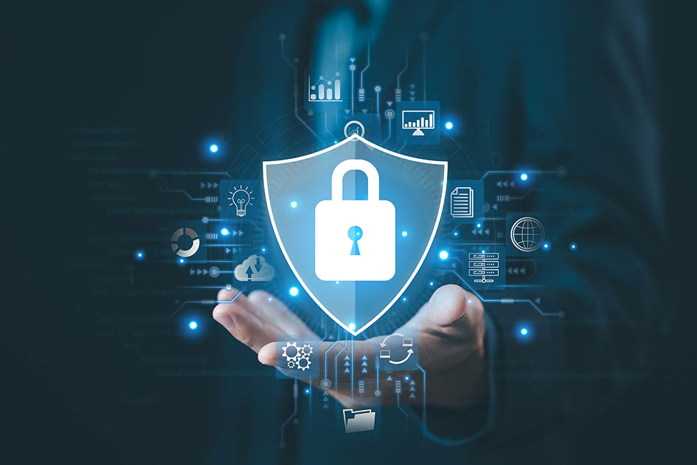Top 8 Career Paths in Cybersecurity for 2024