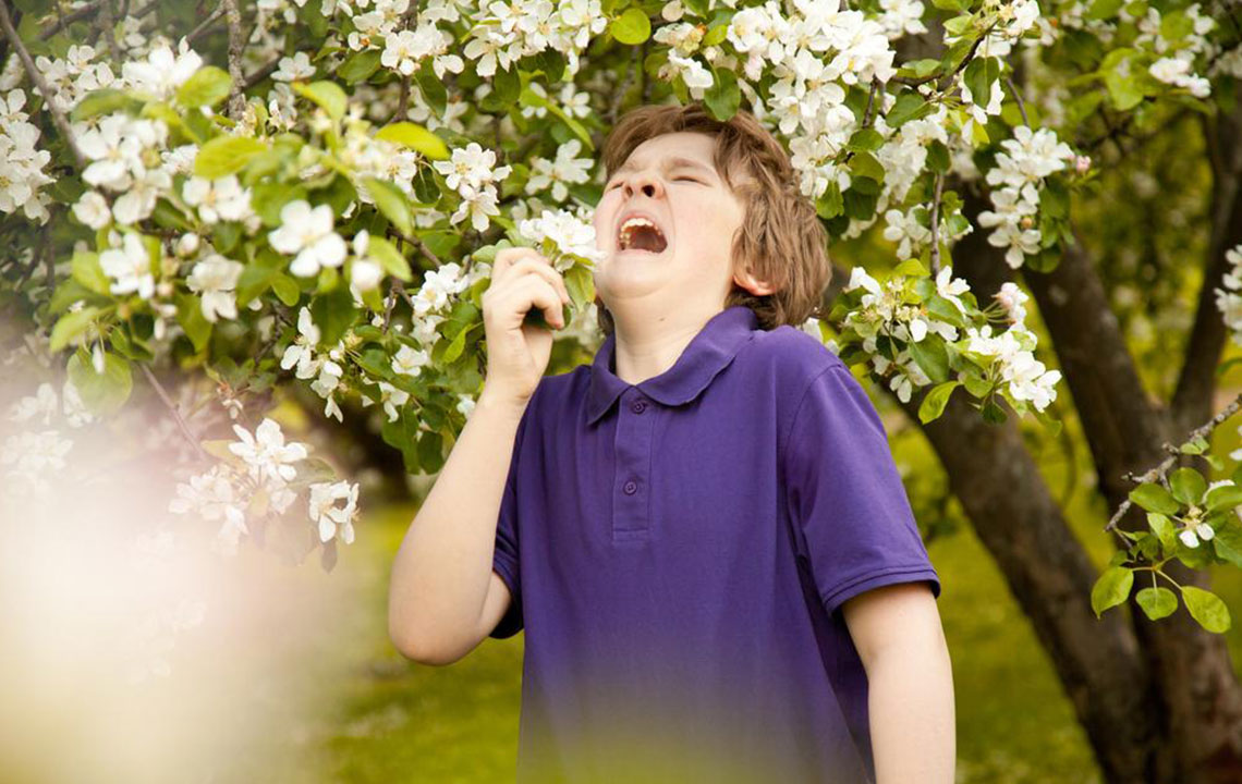 Effective Solutions for Managing Seasonal Allergies