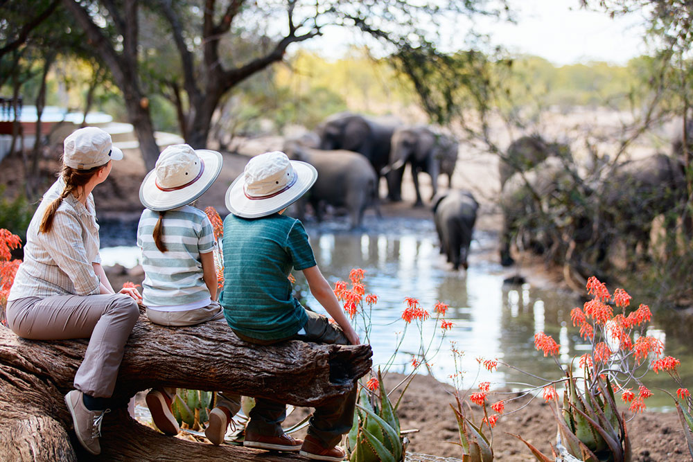 Discover the Finest 11 Luxury African Safari Resorts