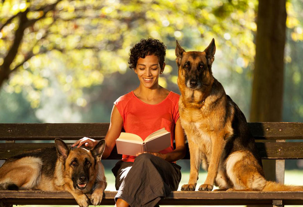 Affordable Pet Insurance Options for Your Furry Friends