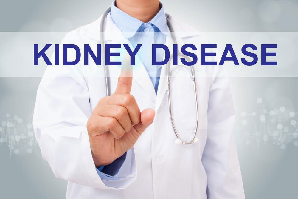 Understanding 4 Major Kidney Health Conditions