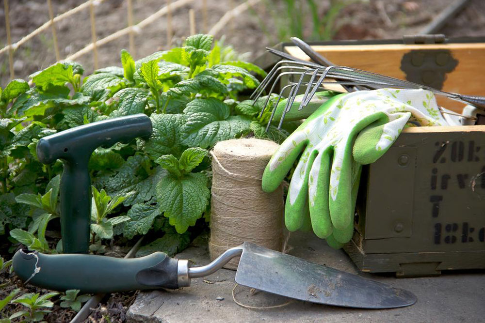 Comprehensive Guide to Essential Gardening Equipment for a Beautiful Outdoor Oasis
