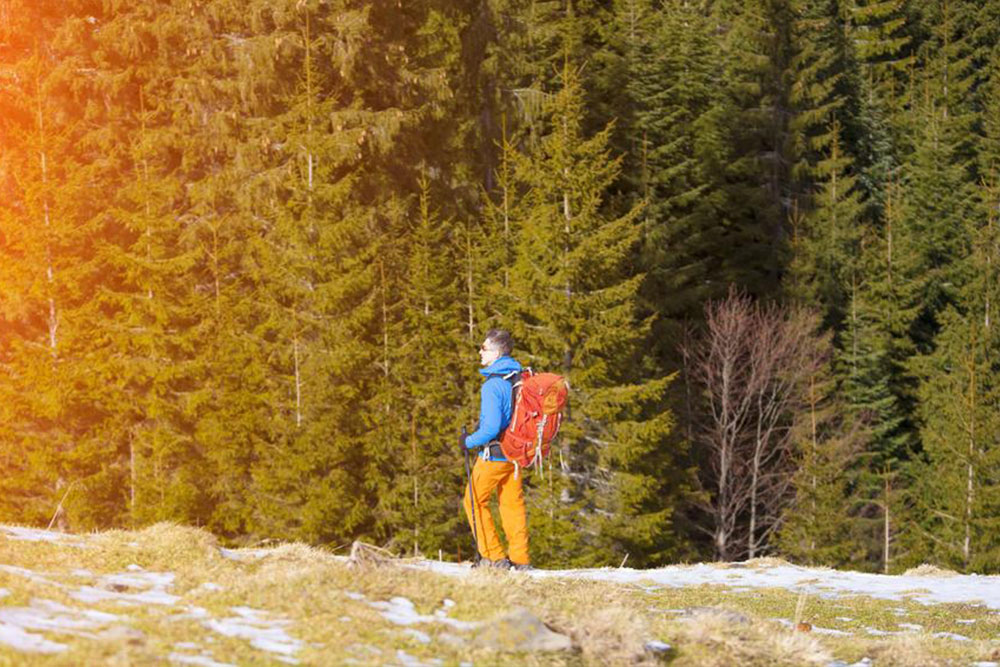 Top Ski Bag Options at Clearance Sale: Find the Perfect Fit