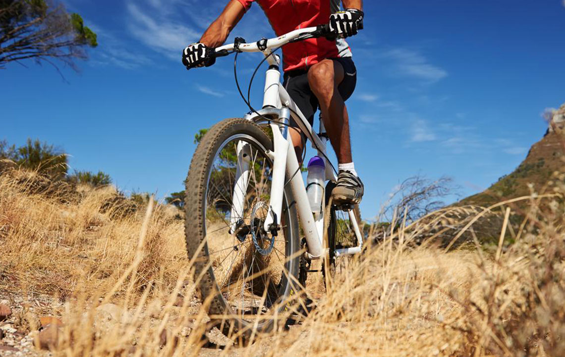 Top Reasons Why Mountain Biking Surpasses Road Biking