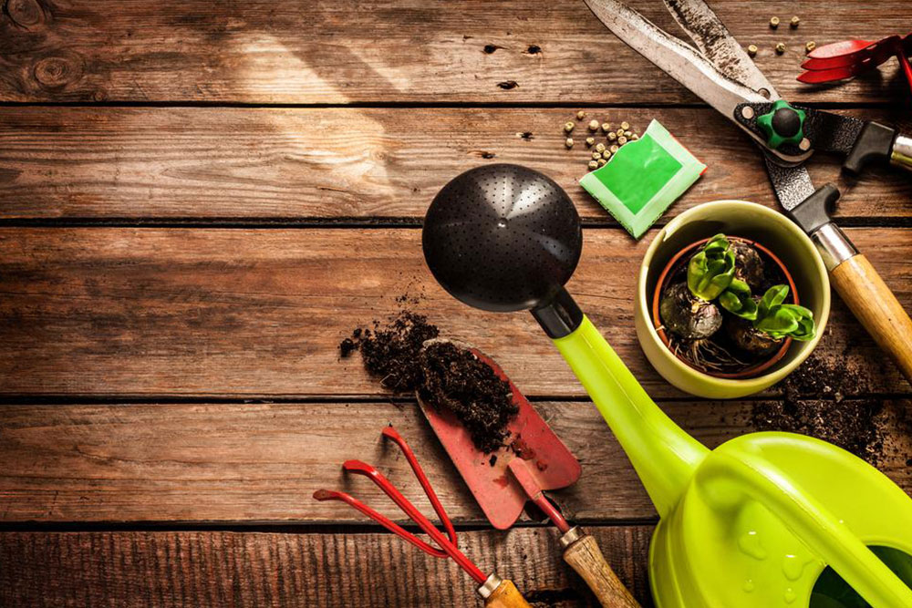 Essential Gardening Equipment for Sale and Rental