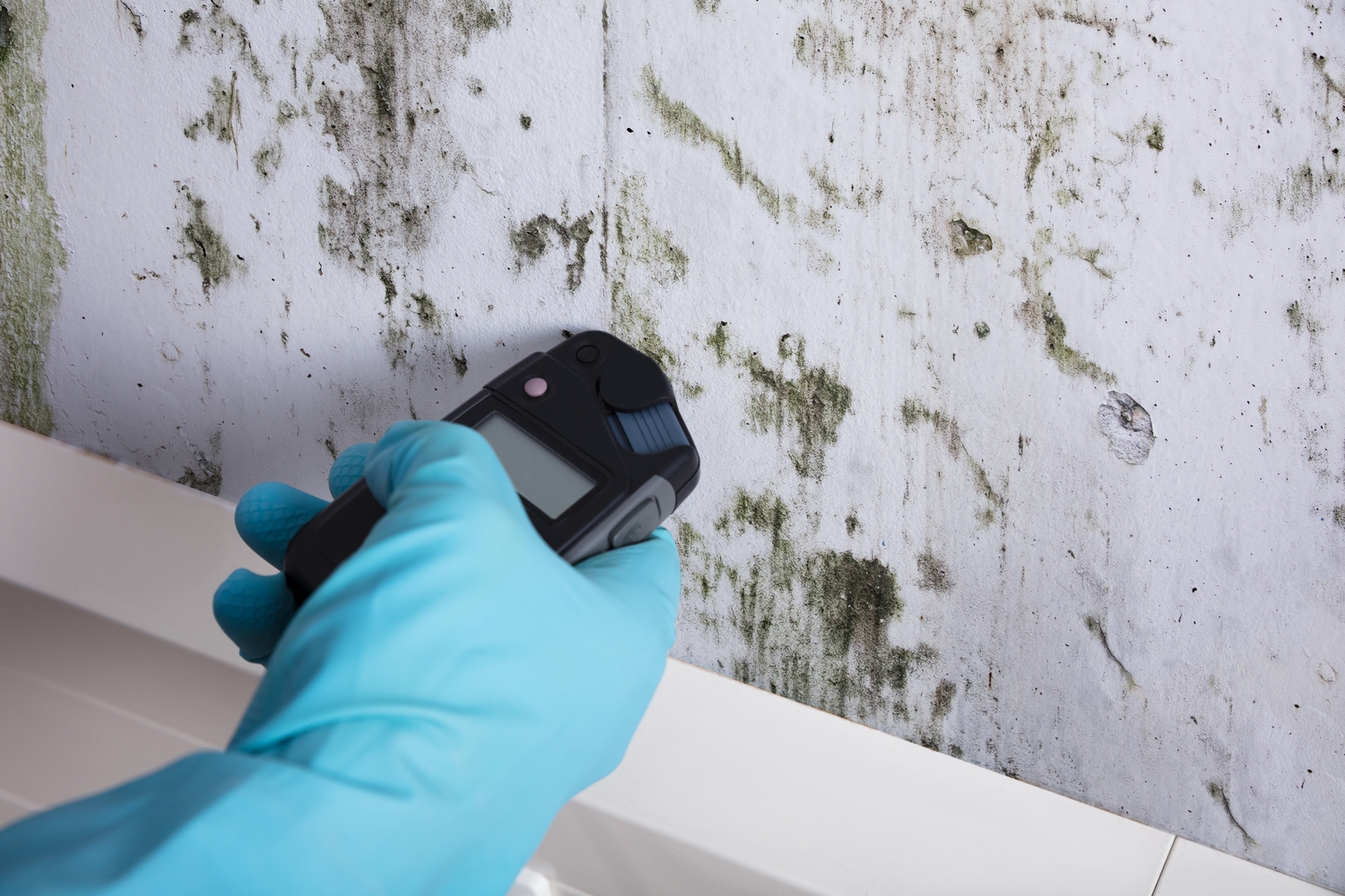Ultimate Guide to Home Mold Detection: Ensuring a Safer, Healthier Living Environment