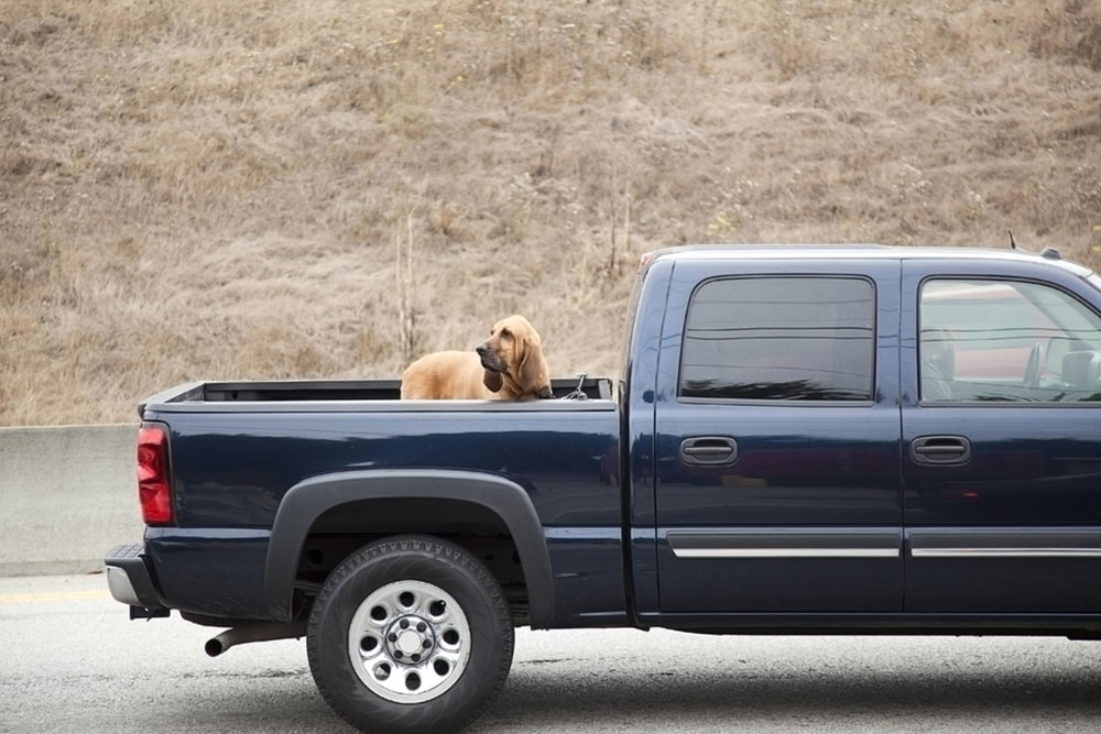 Top Chevy Pickup Trucks to Watch This Year