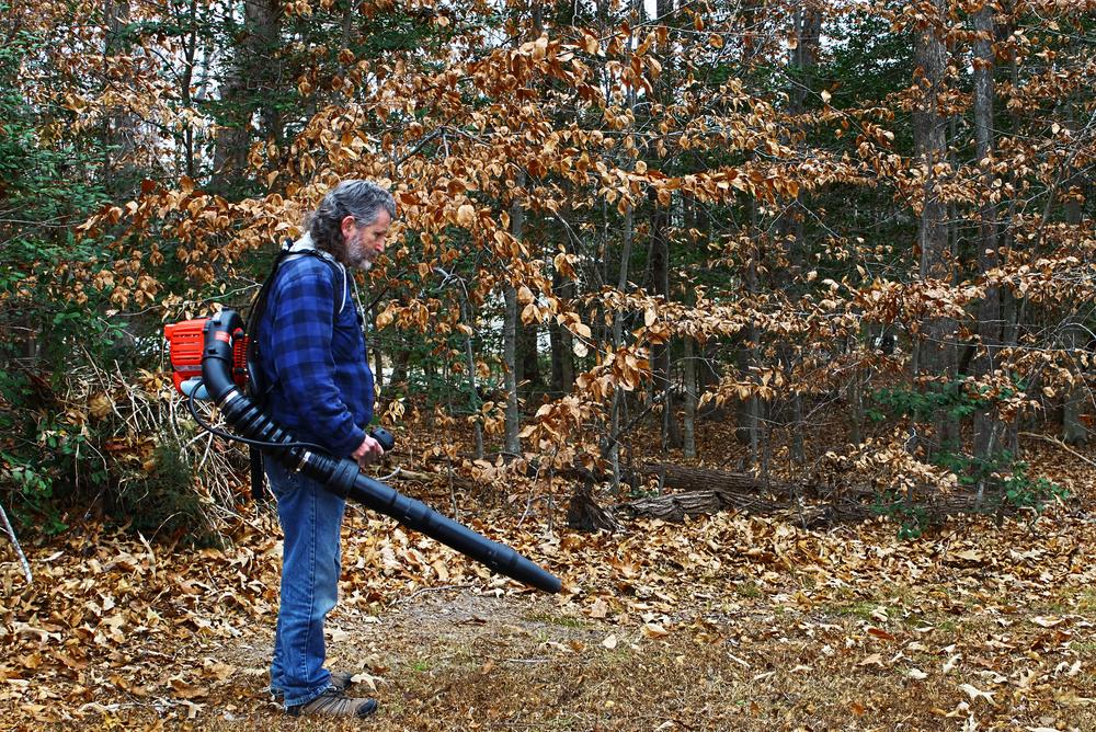 Guide to Choosing the Most Effective Leaf Blowers