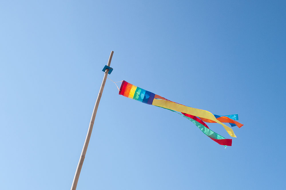 Top 4 Vibrant Pride Flag Windsocks for Your Garden Decor