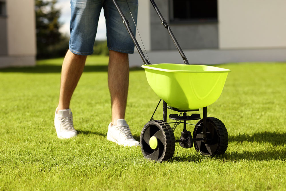 Top Lawn Fertilizers to Boost Your Garden in Spring 2024
