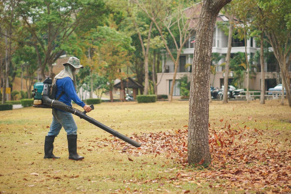 Essential Guide to Choosing the Perfect Gas Leaf Blower