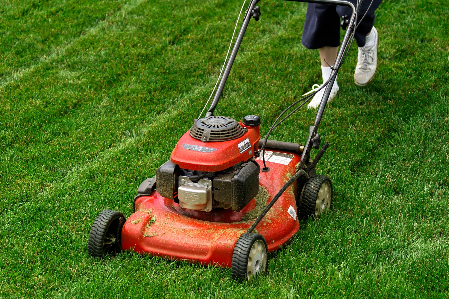 Black Friday 2024 Deals on Lawn Mowers: Top Savings on Yard Equipment