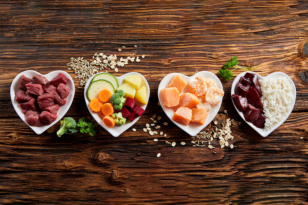 Top 5 Nutrient-Rich Snacks for Dogs to Enhance Health and Vitality