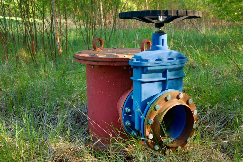 Essential Tips for Septic System Care and Maintenance