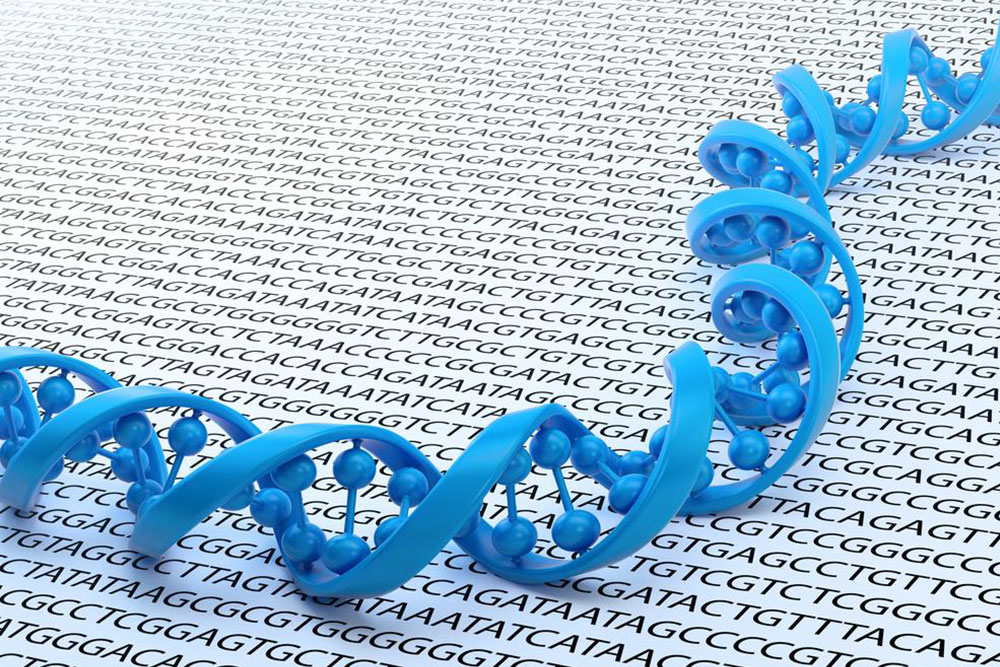 Debunking Myths About DNA Ancestry Testing