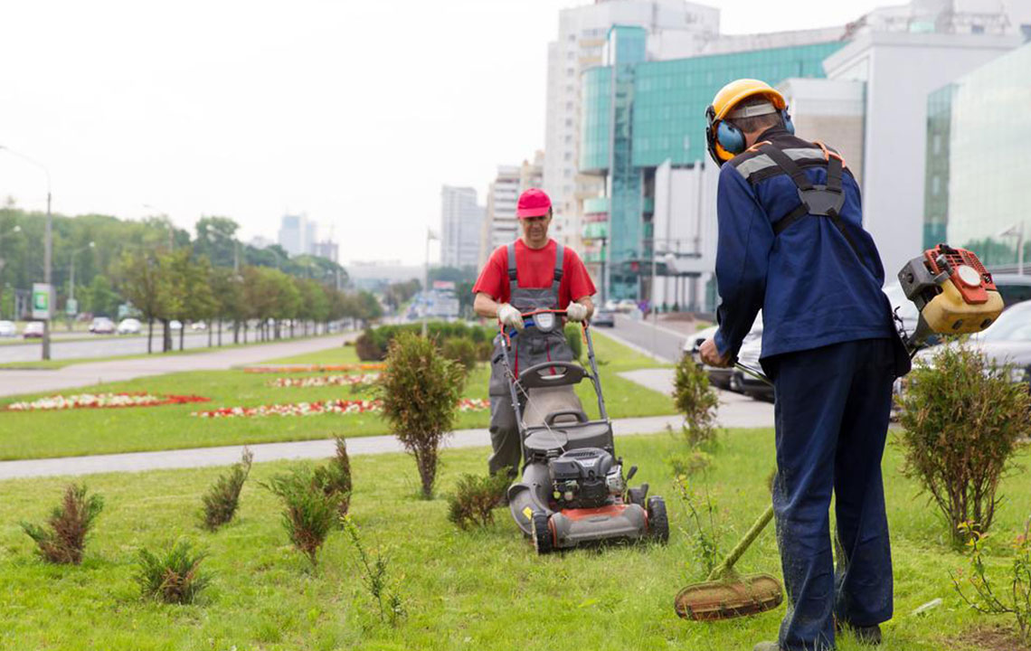 Electric vs. Gas Lawn Trimmers: Find the Perfect Tool for Your Garden Maintenance