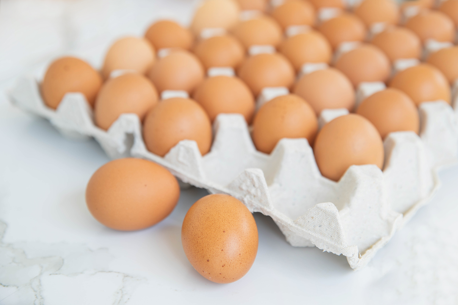 A Guide to the Atkins Diet
