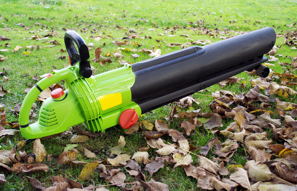 Essential Tips for Selecting the Right Gas-Powered Leaf Blower