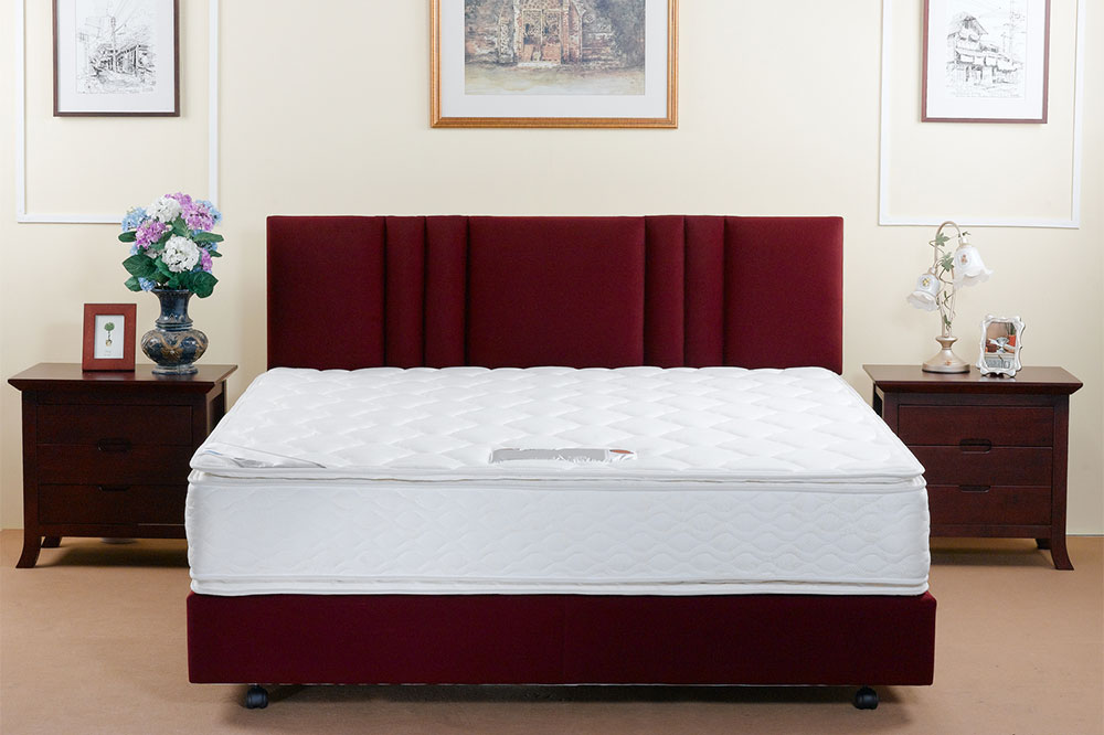 Comprehensive Guide to Choosing the Perfect Queen Mattress for Your Sleep Needs