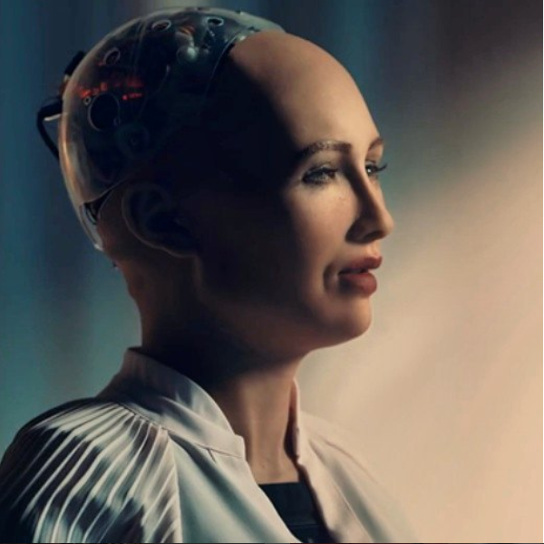 Sofia: The Revolutionary Humanoid Robot Changing Perspectives